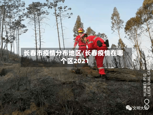 长春市疫情分布地区/长春疫情在哪个区2021-第2张图片