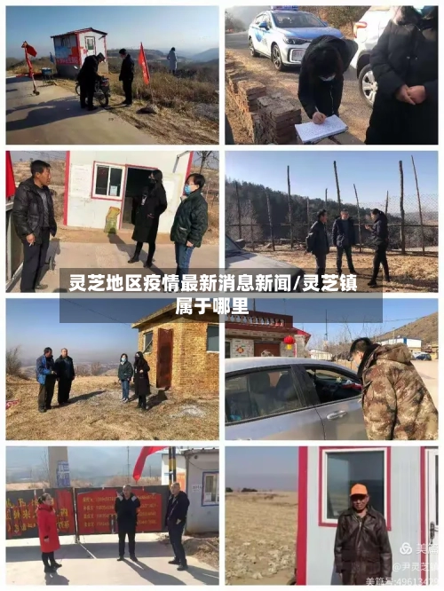 灵芝地区疫情最新消息新闻/灵芝镇属于哪里-第2张图片