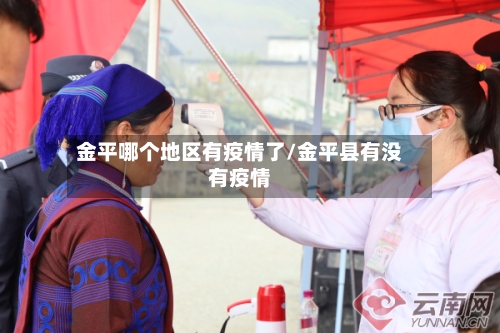 金平哪个地区有疫情了/金平县有没有疫情