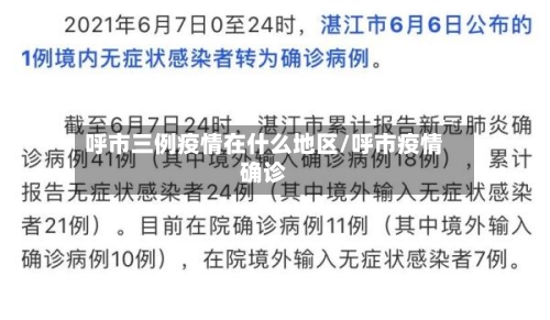 呼市三例疫情在什么地区/呼市疫情确诊-第3张图片