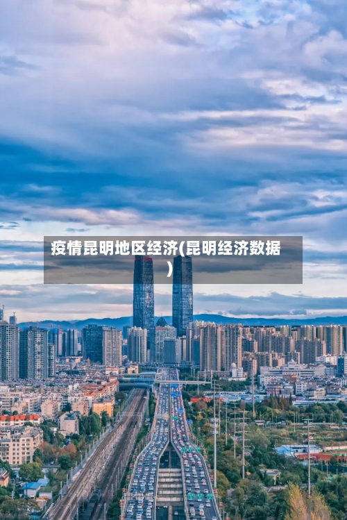 疫情昆明地区经济(昆明经济数据)