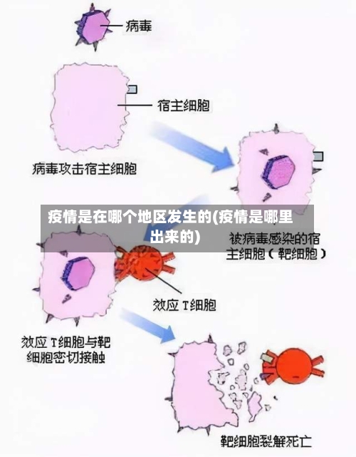 疫情是在哪个地区发生的(疫情是哪里出来的)