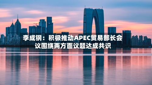 李成钢：积极推动APEC贸易部长会议围绕两方面议题达成共识