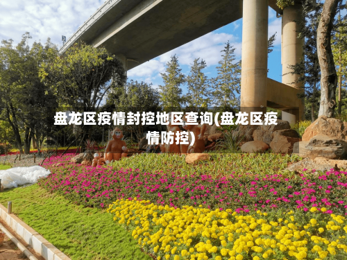 盘龙区疫情封控地区查询(盘龙区疫情防控)
